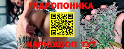 СК Бузулук