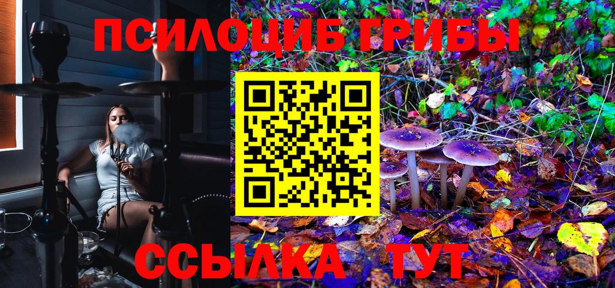 Псилоцибиновые грибы Psilocybe  Вход с VPN  Санкт-Петербург 